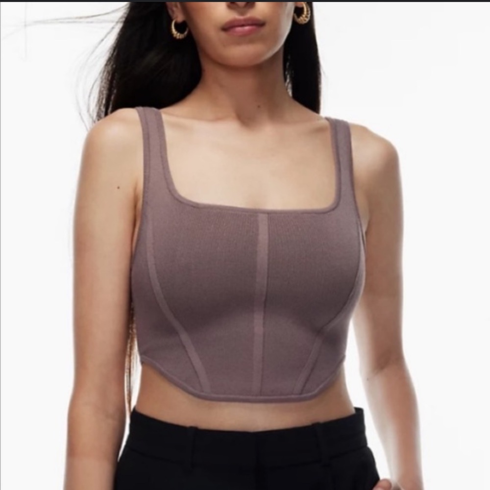 Aritzia Babaton Sculpt Knit Bustier Tank Top Womens Size Medium Taupe Neutral